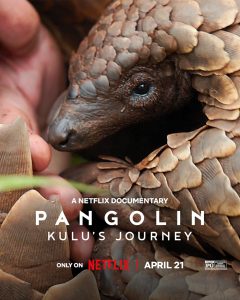 Pangolin: Kulu's Journey (2025) - IMDb